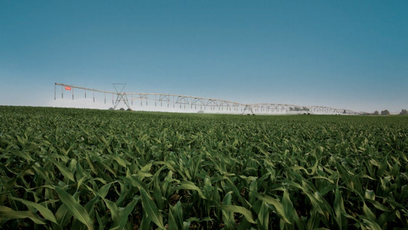 Rio Grande do Sul almeja aumentar a área irrigada em 100 mil hectares