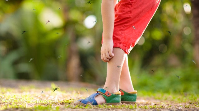 Dengue é mais letal em crianças menores de 5 anos, aponta Fiocruz