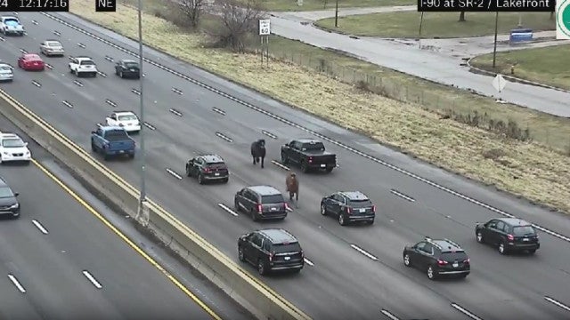 Cavalos fogem durante treinamento e causam engarrafamento nos EUA, veja