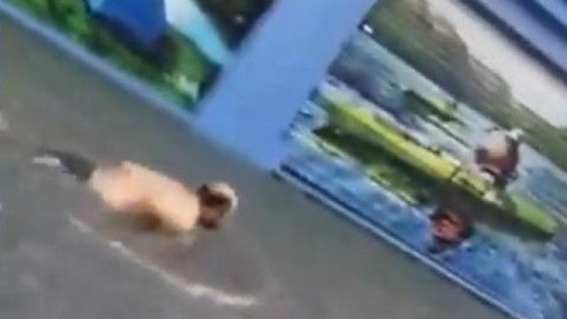 Homem nada em estilo mariposa em rua inundada na Argentina; veja