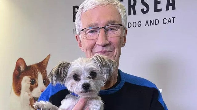 Apresentador britânico deixa herança de R$ 800 mil para seus cachorros