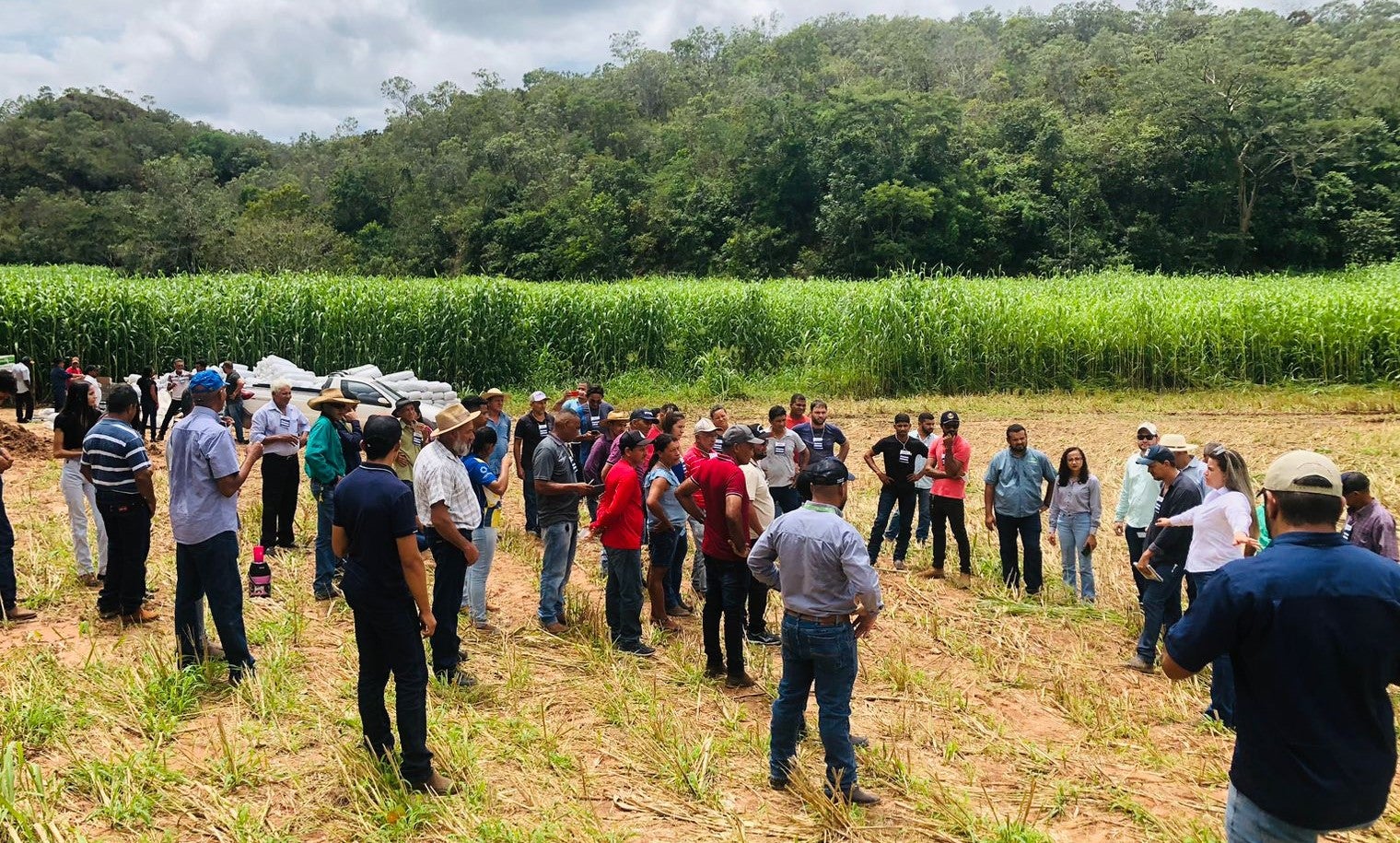 Silagem a partir de consórcio banca custo da renovação do pasto e deixa dinheiro no caixa