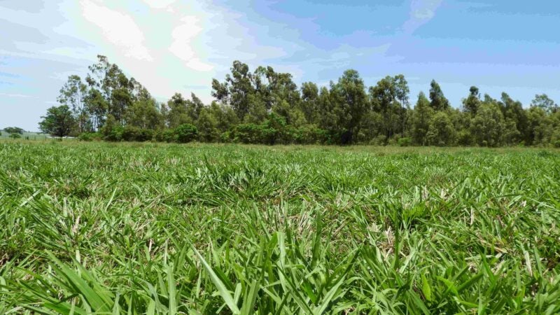 Tecnofam 2024 terá amostra do Sistema Diamantino