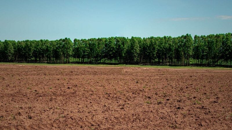 Agricultura celebra o Dia Nacional da Conservação do Solo
