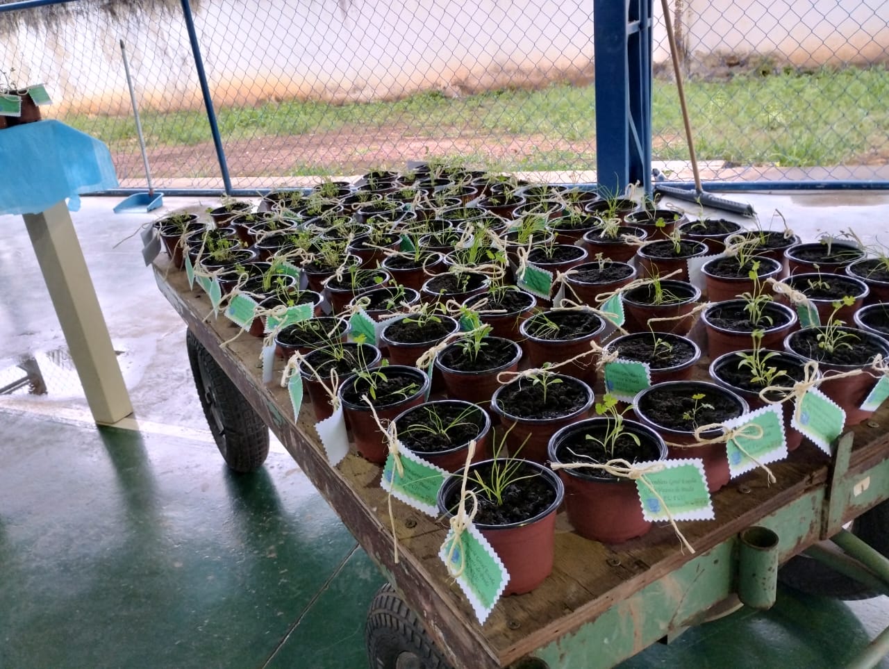 Estudantes de escola estadual aprendem a fazer adubo orgânico utilizando técnica sustentável