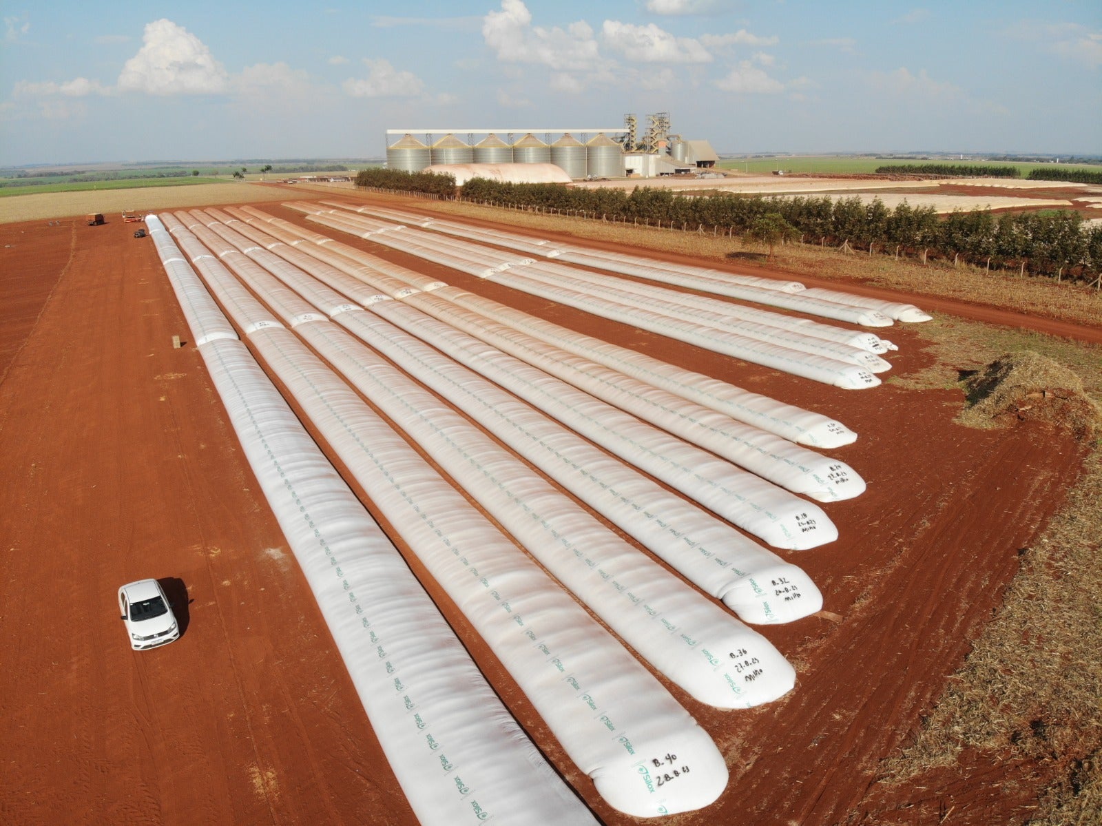 Nortène promove manhã de autógrafos com Roberto Rodrigues na Agrishow