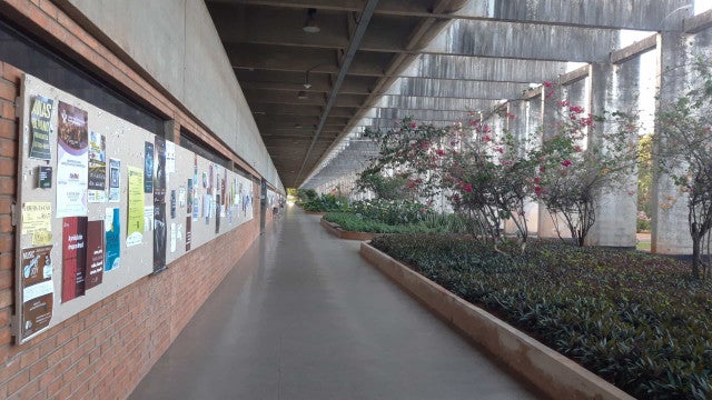 Professores anunciam greve em universidades federais a partir de segunda (15)