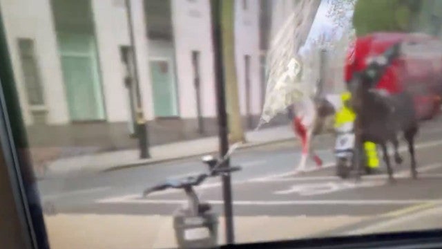 Cavalos cobertos de sangue correm soltos por Londres; veja o vídeo