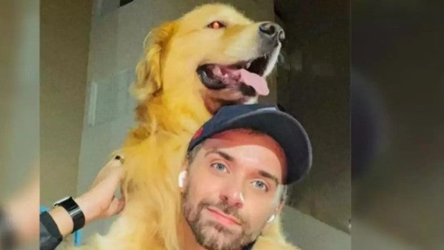 ‘Meu amor foi assassinado’: cão que ia para Mato Grosso vai para o Ceará após erro da Gol