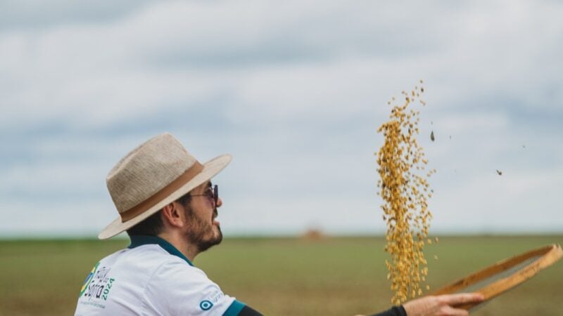 Rally da Safra, que mapeia o cultivo de soja e milho nas principais regiões produtoras, visita propriedades rurais no Mato Grosso