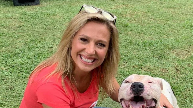 Luisa Mell quebra duas costelas em resgates no Rio Grande do Sul