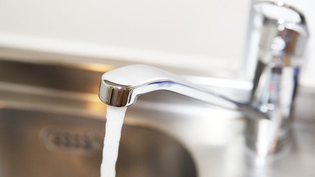 Parasita detetado na água provoca infeção a 46 pessoas na Inglaterra