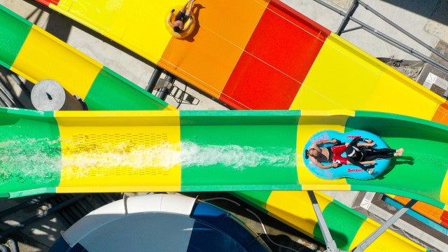 Iguana entra em resort pelo tobogã aquático e põe 30 ovos na piscina