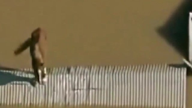 Cavalo fica isolado em telhado no Rio Grande do Sul; veja as imagens