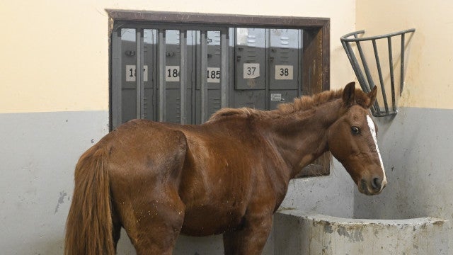 Imagens atualizadas: As tristes e devastadoras inundações no Sul do Brasil