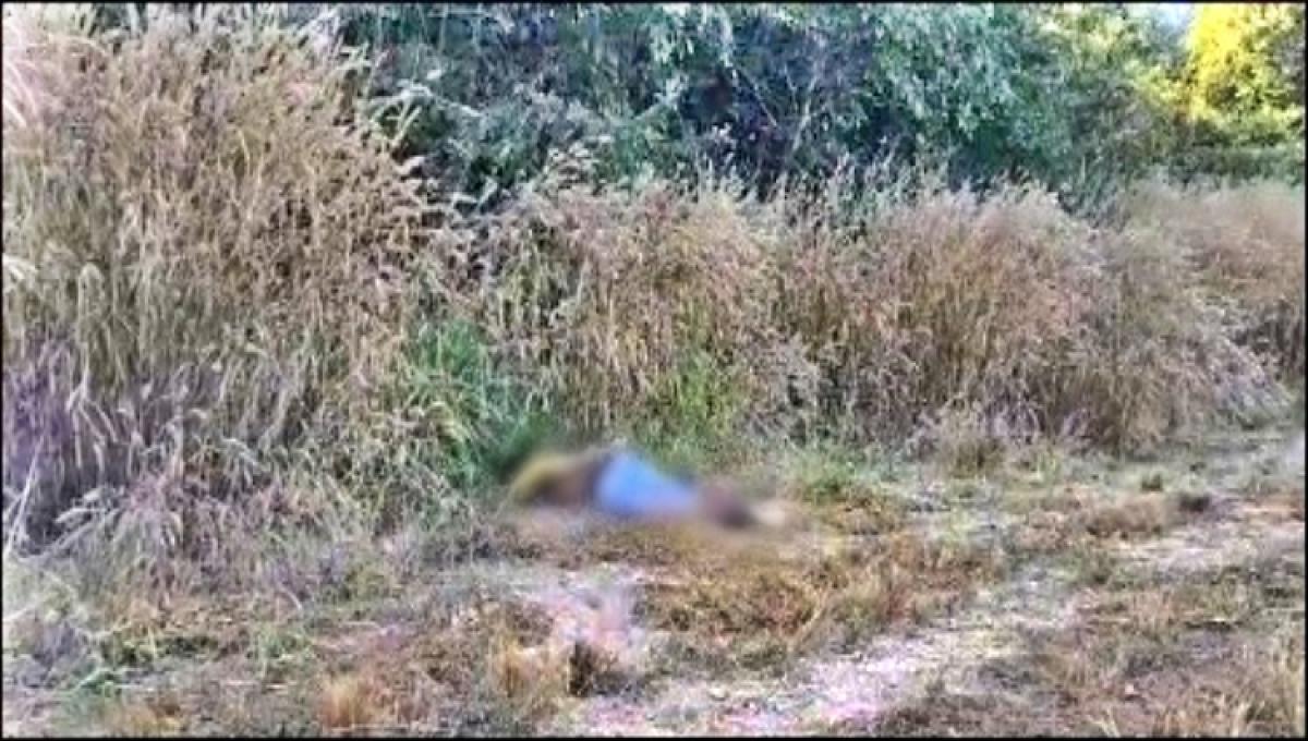 Corpo é achado com as mãos amarrados em área de mata