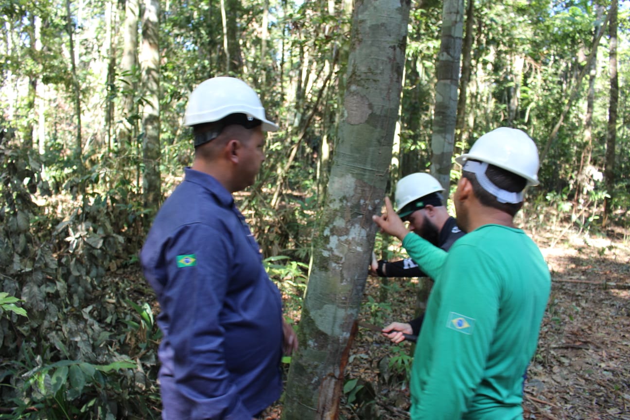 Mato Grosso promove evento sobre gestão florestal