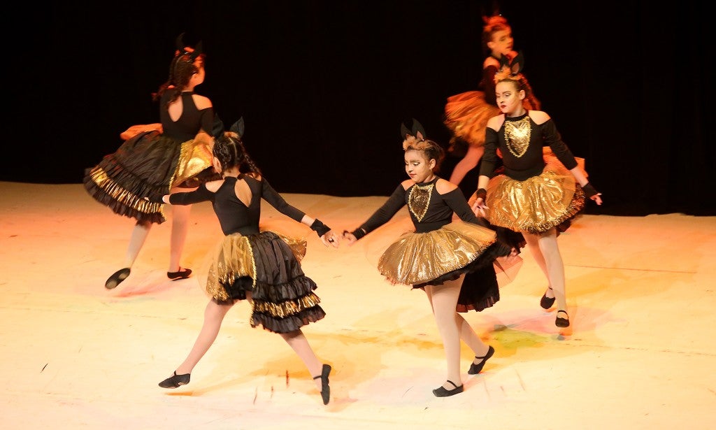 5ª Mostra DID ocorre neste fim de semana no Teatro Zulmira Canavarros