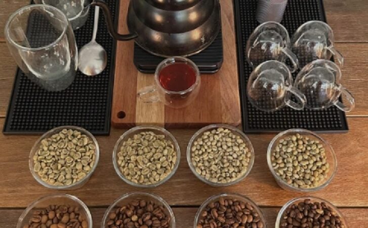 Produtores de café recebem apoio do Governo de MT para análise profissional e melhoria da qualidade dos grãos