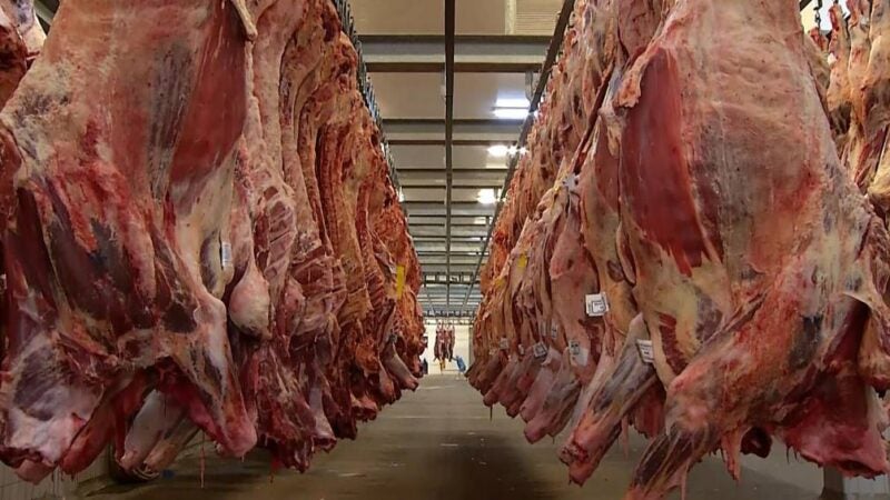 Exportações de carne de Mato Grosso ficam acima da média; China reduz compra em 21%