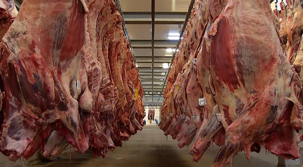 Exportações de carne de Mato Grosso ficam acima da média; China reduz compra em 21%