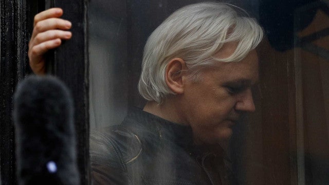 Mulher de Assange diz que fundador do WikiLeaks pedirá perdão ao governo americano