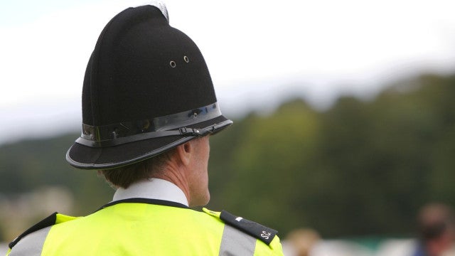 Morte de aristocrata gera discórdia familiar; só o gato assistiu a queda