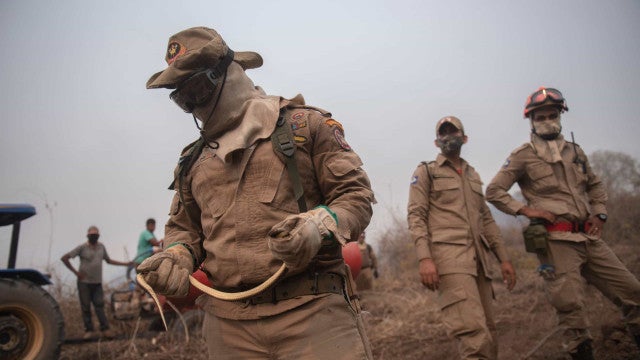 Incêndios: Mato Grosso do Sul decreta situação de emergência no Pantanal