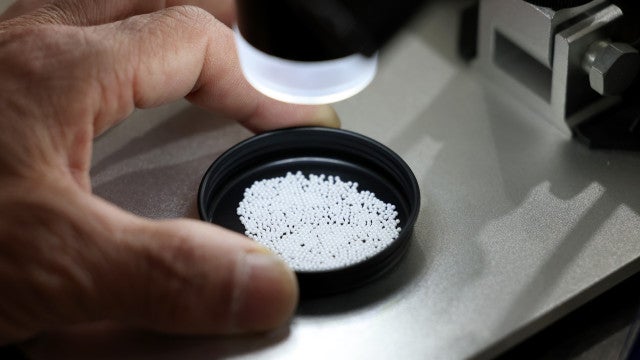 Cientistas "caçam" microplásticos em ostras e mexilhões pelo Brasil