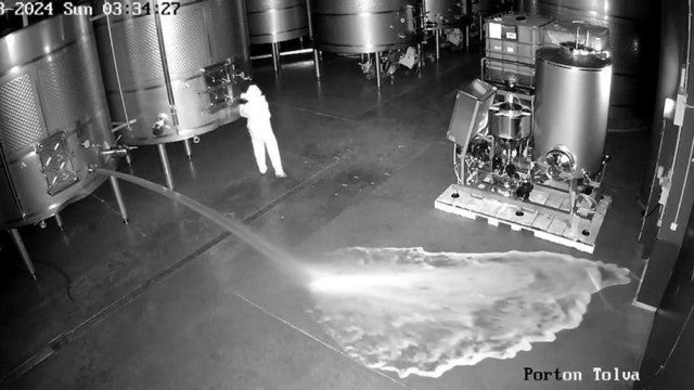 Mulher abre tonéis de vinho e causa prejuízo milionário; veja