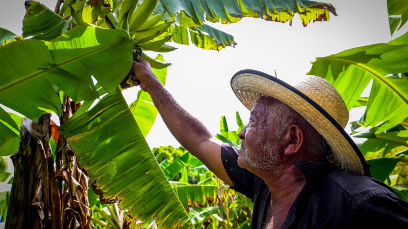 Fórum realizado pela Seaf vai abordar estratégias para acesso ao crédito fundiário e desenvolvimento do campo