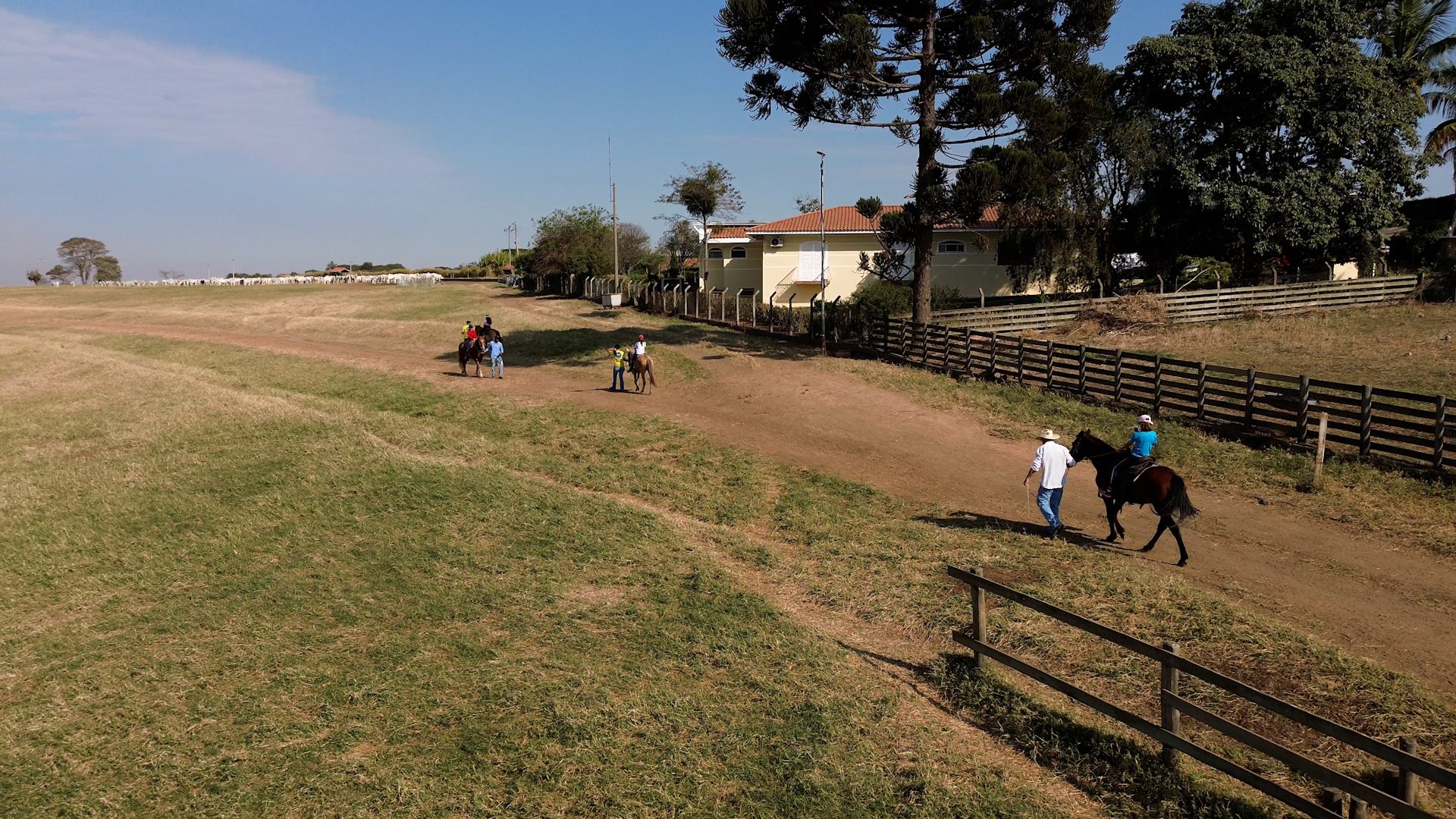 Ação educativa com crianças aproxima campo e cidade