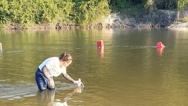 Sema analisará rios em Guarantã do Norte e mais 3 cidades para avaliar se são próprios para banho