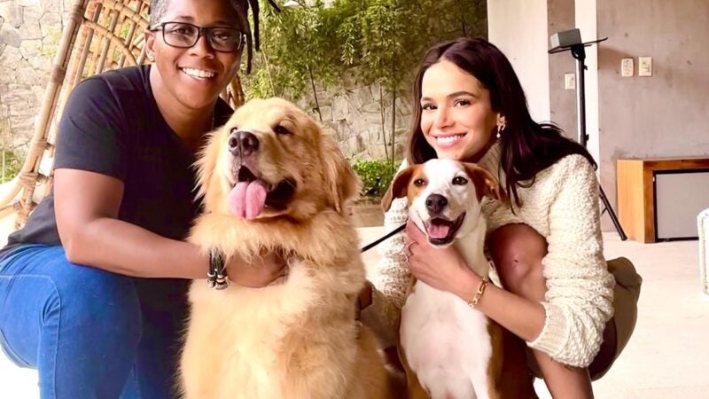 Como o adestramento adequado transforma o comportamento dos cães