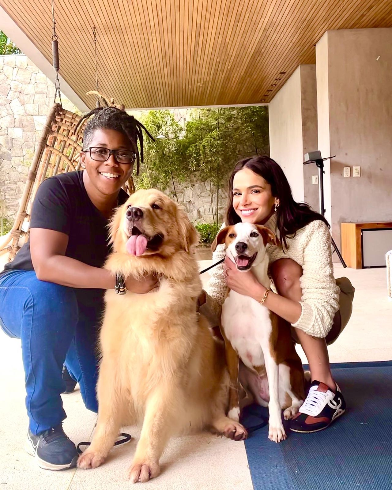 Como o adestramento adequado transforma o comportamento dos cães