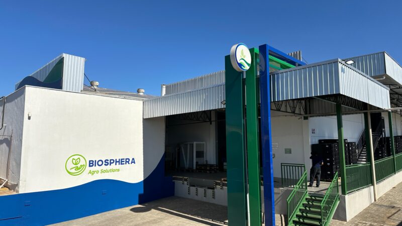 Empresa brasileira aposta na eficiência do Bradyrhizobium elkanii como alternativa ao sojicultor