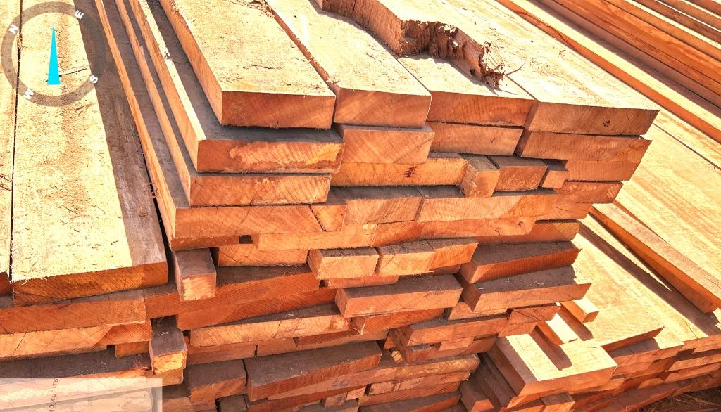 Sema e polícia apreendem três carretas carregadas com castanheiras em Mato Grosso