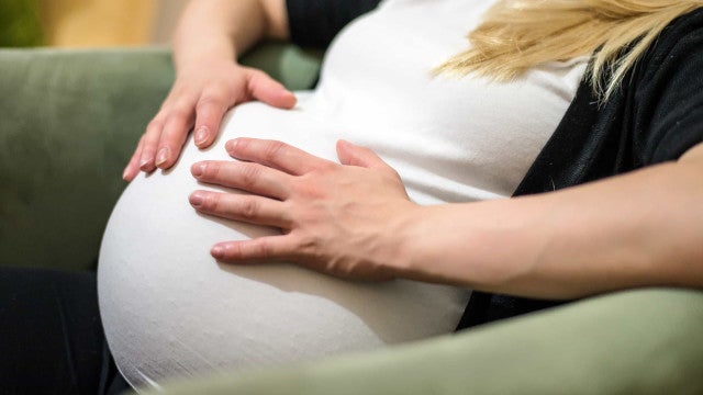 Ministério da Saúde alerta para riscos de grávidas com febre do oropouche