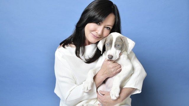 Morre Shannen Doherty, atriz da série ‘Barrados no Baile’, aos 53 anos
