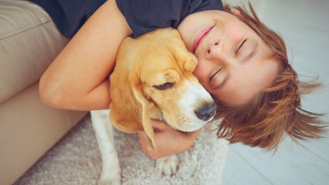 Justiça decide que cão de suporte emocional deve viajar com passageira na cabine de avião