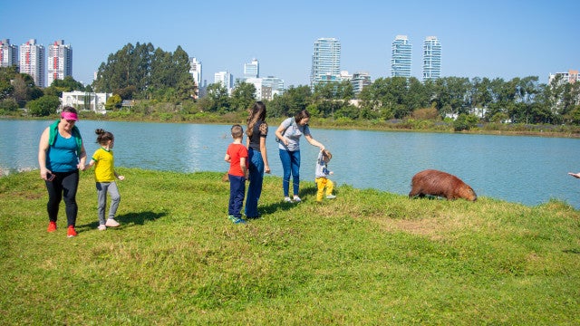 Curitiba tem fila em creches como pauta eleitoral e judicialização por falta de vaga