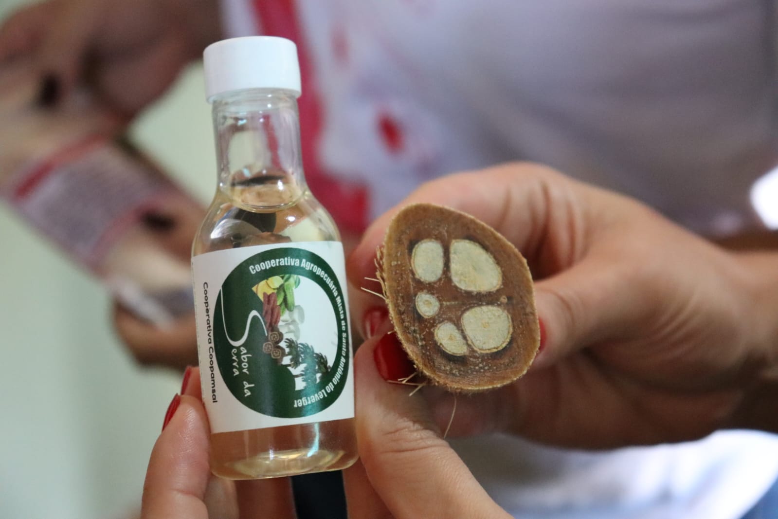 Representantes da Alemanha e Reino Unido conhecem a riqueza do babaçu