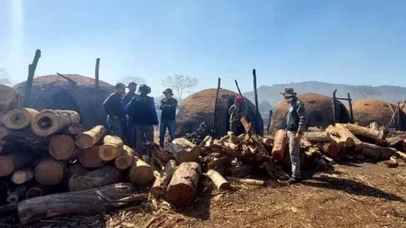 Idosa de 94 anos é resgatada após mais de 60 anos em condições análogas à escravidão em MT