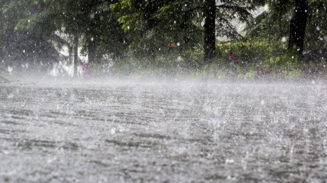 Chove em Ribeirão Preto (SP), e nenhum novo foco de incêndio foi registrado nesta madrugada