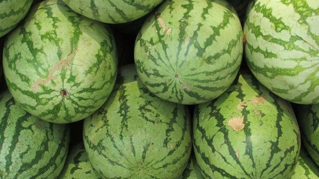 Polícia acha duas toneladas de metanfetaminas em melancias falsas nos EUA