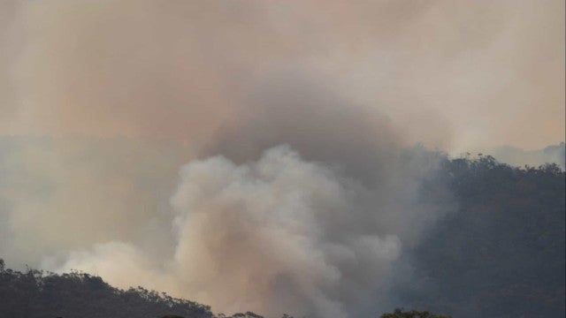 Número de incêndios florestais no Rio já aumentou 85% neste ano