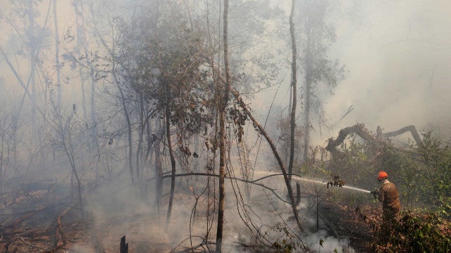 Fumaça da amazônia e do pantanal já atinge 10 estados e gera alerta