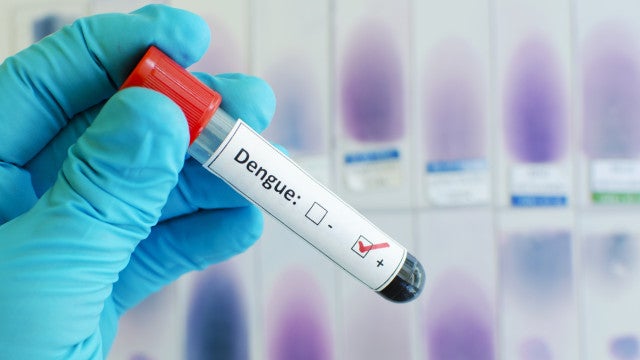 Brasil ultrapassa marca de 5 mil mortes por dengue