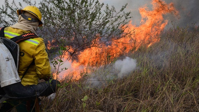 Fogo no pantanal se espalha por fazendas de Corumbá (MS) após acidente de caminhão; veja fotos