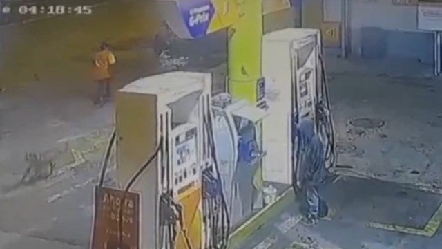 Vídeo: Cão defende funcionária de posto de gasolina e é ‘contratado’
